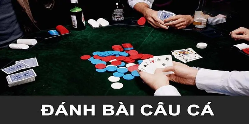 Bài Câu Cá Là Gì Và Hướng Dẫn Cách Chơi Cơ Bản Nhất